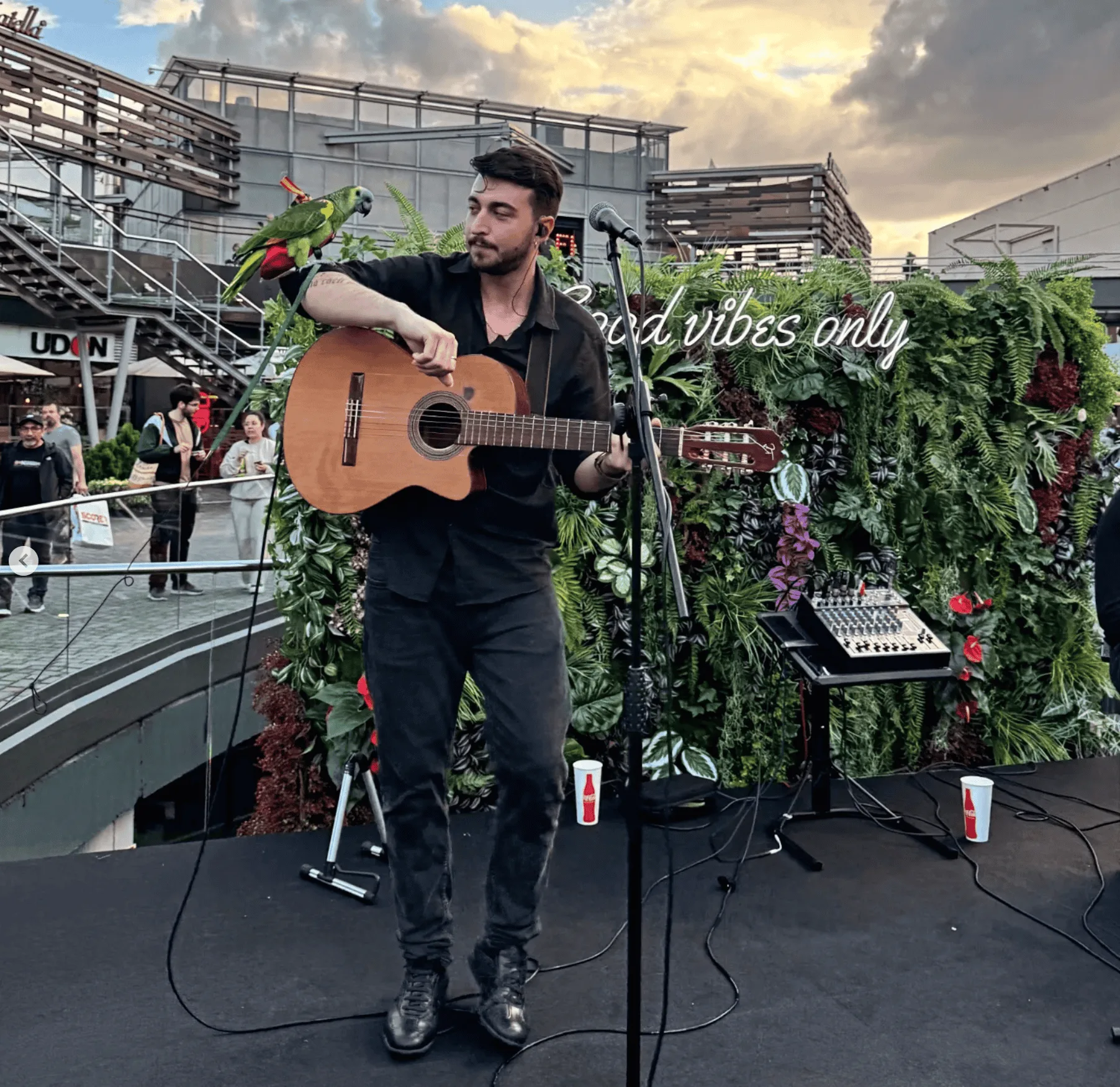 Músico con guitarra española sobre un pequeño escenario exterior, junto a un micrófono y una mesa de sonido; un loro verde está posado en su brazo. Detrás hay un muro de plantas con un neón que dice “Good vibes only” y se ve gente al fondo, una escena que encaja con rumba fusión en Madrid para poner a la gente a tono en tu boda.